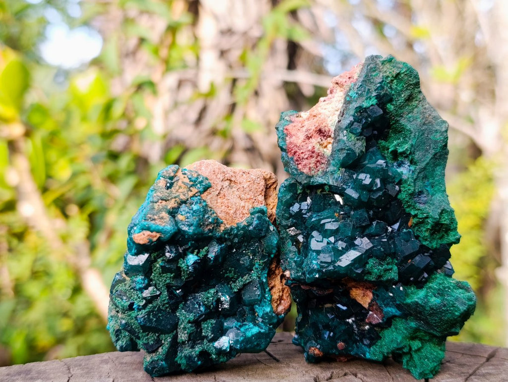 Natural Dioptase on Dolomite Specimens x 4 From Likasi, Congo - Toprock Gemstones and Minerals 