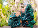 Natural Dioptase on Dolomite Specimens x 4 From Likasi, Congo - Toprock Gemstones and Minerals 