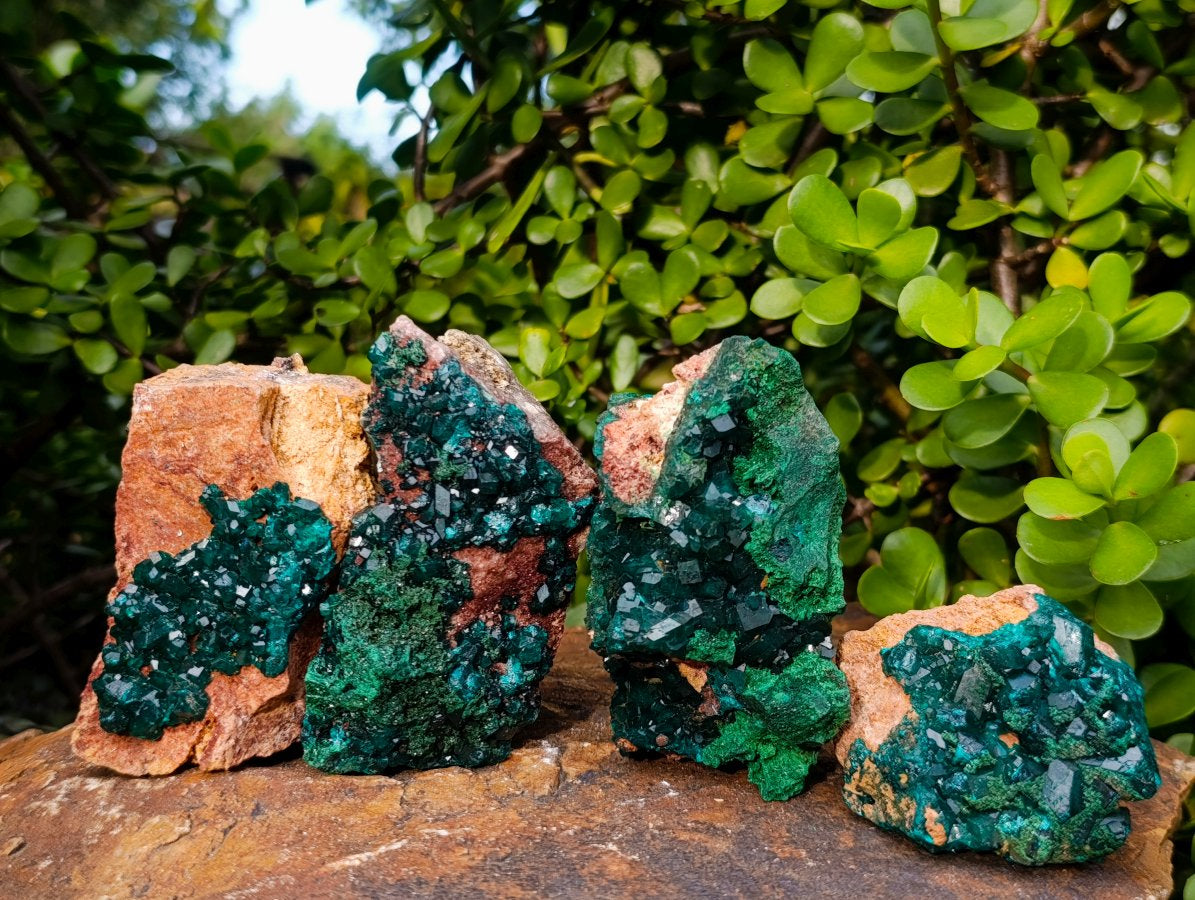 Natural Dioptase on Dolomite Specimens x 4 From Likasi, Congo - Toprock Gemstones and Minerals 