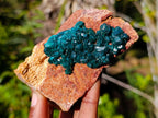 Natural Dioptase on Dolomite Specimens x 4 From Likasi, Congo - Toprock Gemstones and Minerals 