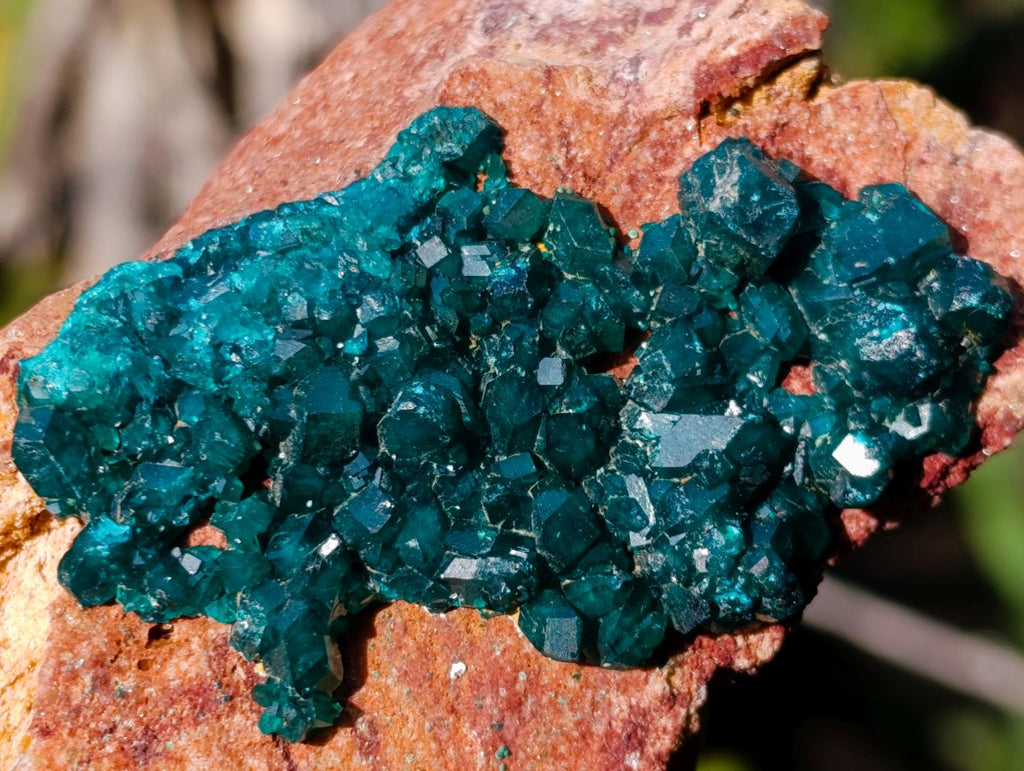 Natural Dioptase on Dolomite Specimens x 4 From Likasi, Congo - Toprock Gemstones and Minerals 