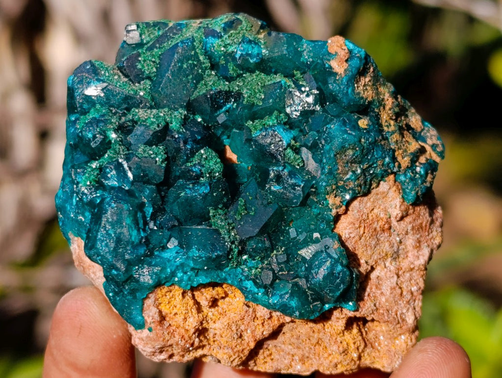 Natural Dioptase on Dolomite Specimens x 4 From Likasi, Congo - Toprock Gemstones and Minerals 