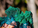 Natural Dioptase on Dolomite Specimens x 4 From Likasi, Congo - Toprock Gemstones and Minerals 