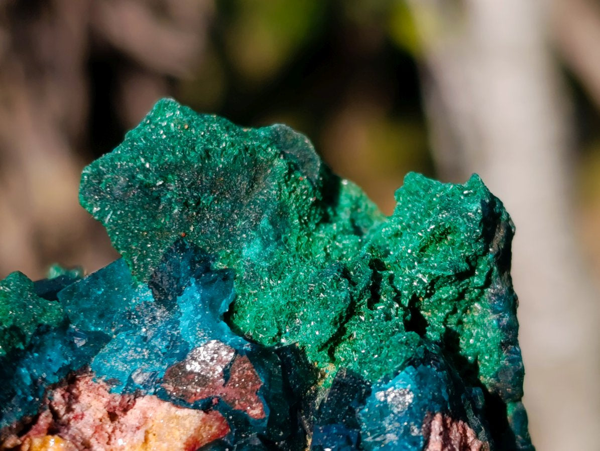 Natural Dioptase on Dolomite Specimens x 4 From Likasi, Congo - Toprock Gemstones and Minerals 