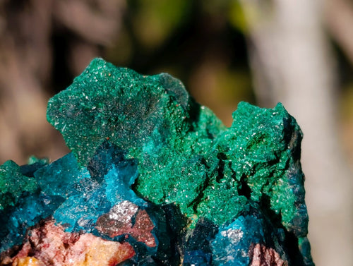 Natural Dioptase on Dolomite Specimens x 4 From Likasi, Congo - Toprock Gemstones and Minerals 