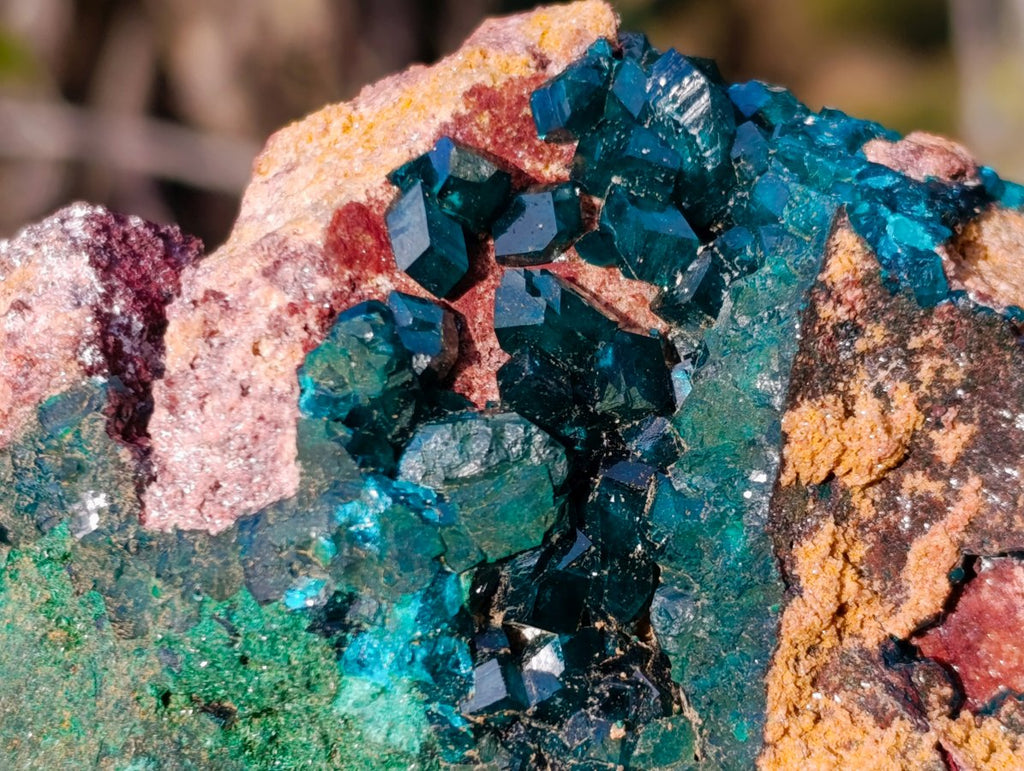 Natural Dioptase on Dolomite Specimens x 4 From Likasi, Congo - Toprock Gemstones and Minerals 