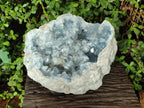 Natural XL Blue Celestite Geode Specimen x 1 From Sakoany, Madagascar - Toprock Gemstones and Minerals 