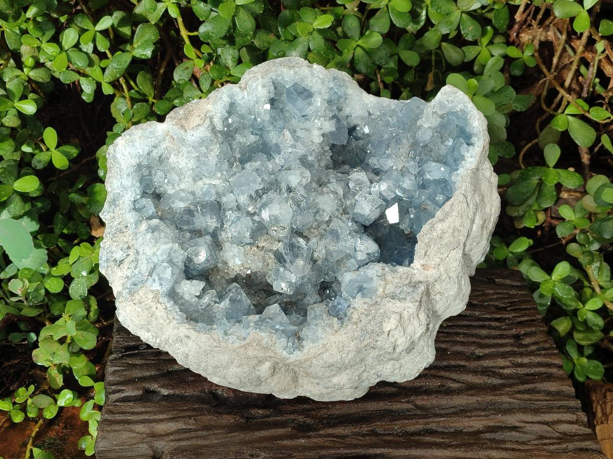 Natural XL Blue Celestite Geode Specimen x 1 From Sakoany, Madagascar - Toprock Gemstones and Minerals 
