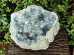Natural XL Blue Celestite Geode Specimen x 1 From Sakoany, Madagascar - Toprock Gemstones and Minerals 