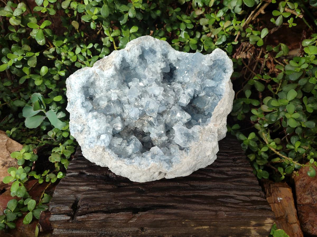 Natural XL Blue Celestite Geode Specimen x 1 From Sakoany, Madagascar - Toprock Gemstones and Minerals 