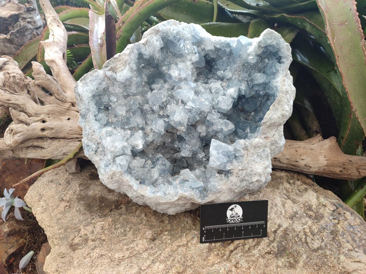 Natural XL Blue Celestite Geode Specimen x 1 From Sakoany, Madagascar - Toprock Gemstones and Minerals 