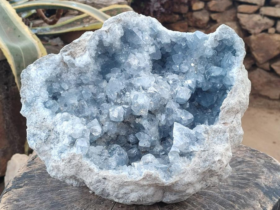 Natural XL Blue Celestite Geode Specimen x 1 From Sakoany, Madagascar - Toprock Gemstones and Minerals 