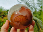 Polished Polychrome Jasper Spheres x 2 From NW Coast, Madagascar - Toprock Gemstones and Minerals 