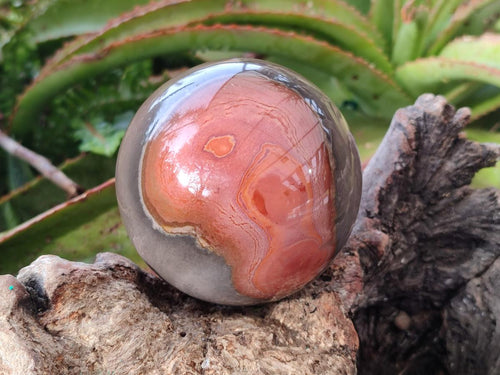 Polished Polychrome Jasper Spheres x 2 From NW Coast, Madagascar - Toprock Gemstones and Minerals 