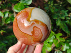 Polished Polychrome Jasper Spheres x 2 From NW Coast, Madagascar - Toprock Gemstones and Minerals 