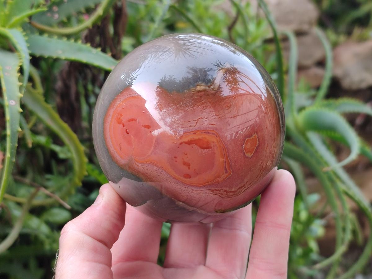 Polished Polychrome Jasper Spheres x 2 From NW Coast, Madagascar - Toprock Gemstones and Minerals 