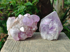 Natural Jacaranda Amethyst Crystals and a Cluster x 6 From Mumbwa, Zambia - Toprock Gemstones and Minerals 