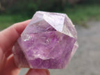 Natural Jacaranda Amethyst Crystals and a Cluster x 6 From Mumbwa, Zambia - Toprock Gemstones and Minerals 