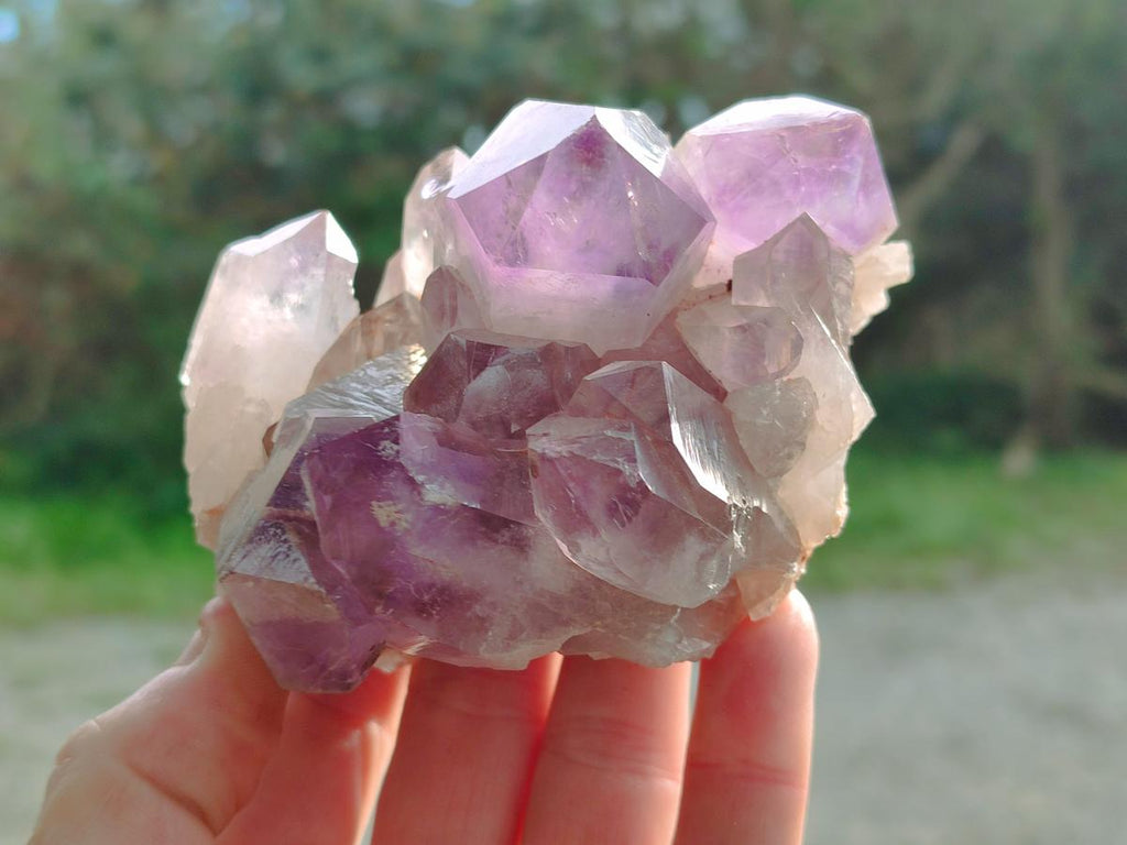 Natural Jacaranda Amethyst Crystals and a Cluster x 6 From Mumbwa, Zambia - Toprock Gemstones and Minerals 