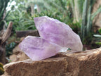 Natural Jacaranda Amethyst Crystals and a Cluster x 6 From Mumbwa, Zambia - Toprock Gemstones and Minerals 