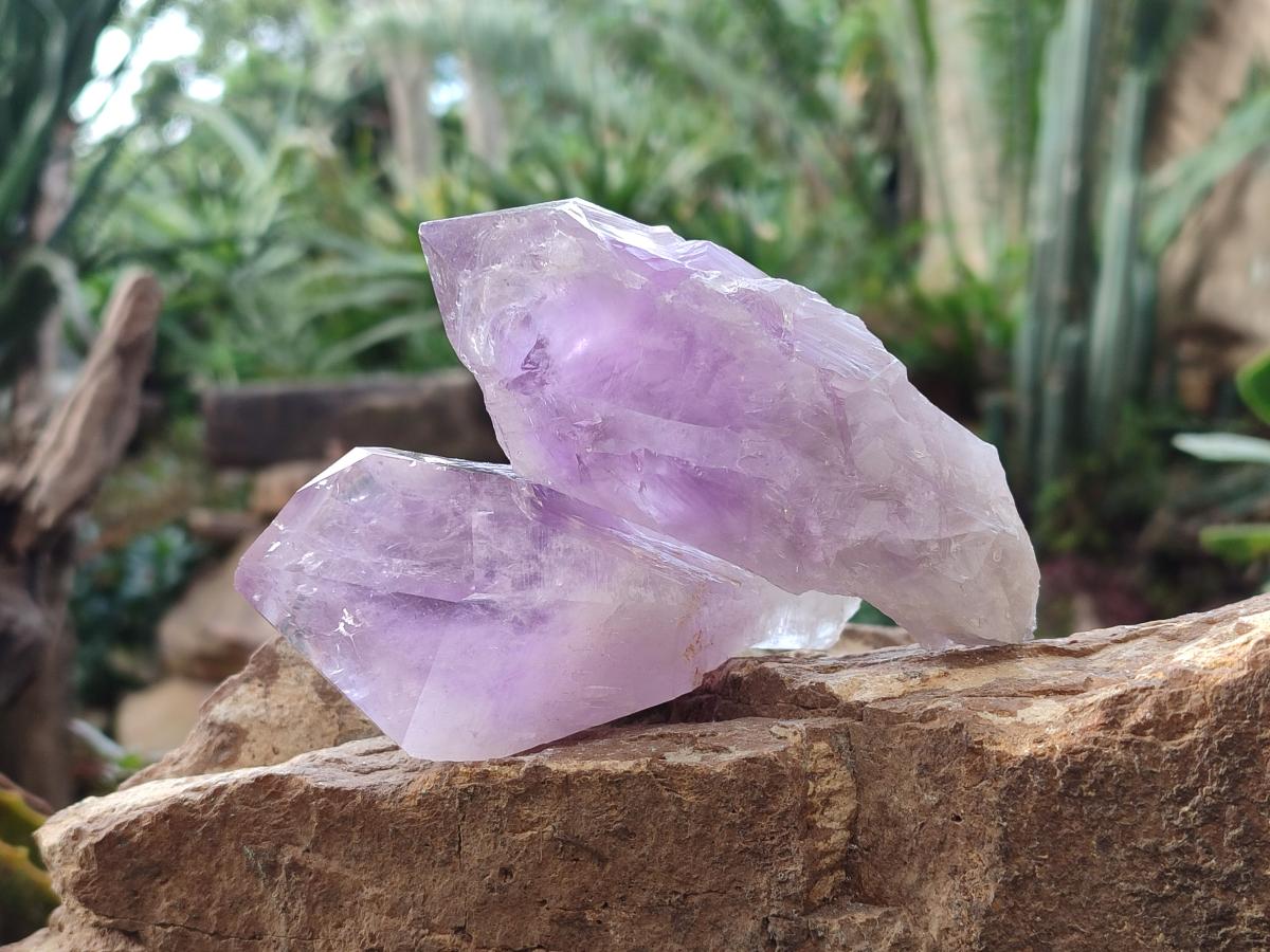 Natural Jacaranda Amethyst Crystals and a Cluster x 6 From Mumbwa, Zambia - Toprock Gemstones and Minerals 