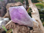 Natural Jacaranda Amethyst Crystals and a Cluster x 6 From Mumbwa, Zambia - Toprock Gemstones and Minerals 