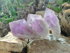 Natural Jacaranda Amethyst Crystals and a Cluster x 6 From Mumbwa, Zambia - Toprock Gemstones and Minerals 
