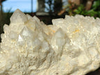 Natural Large Cascading "Anananas" Candle Quartz Crystal Cluster x 1 From Antsirabe, Madagascar - Toprock Gemstones and Minerals 