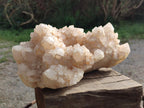 Natural Large Cascading "Anananas" Candle Quartz Crystal Cluster x 1 From Antsirabe, Madagascar - Toprock Gemstones and Minerals 