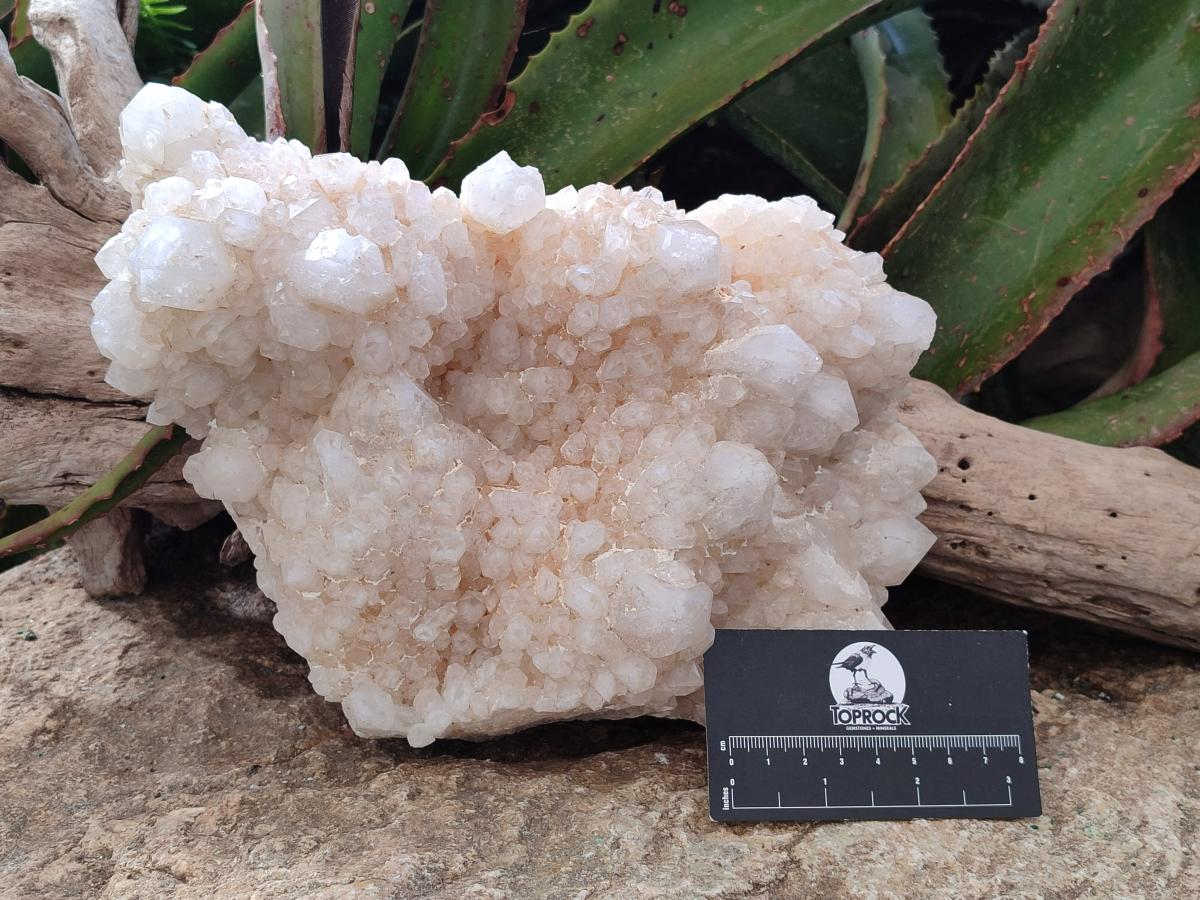 Natural Large Cascading "Anananas" Candle Quartz Crystal Cluster x 1 From Antsirabe, Madagascar - Toprock Gemstones and Minerals 