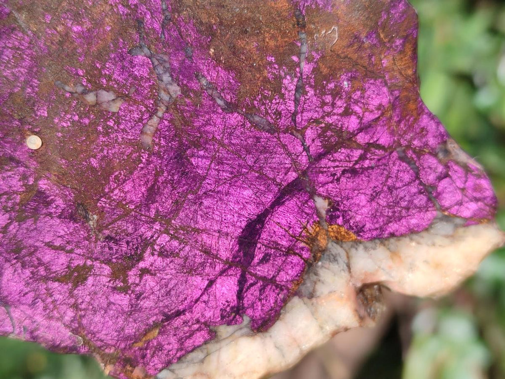 Polished One Side Metallic Purpurite Specimens x 3 From Erongo Namibia - Toprock Gemstones and Minerals 
