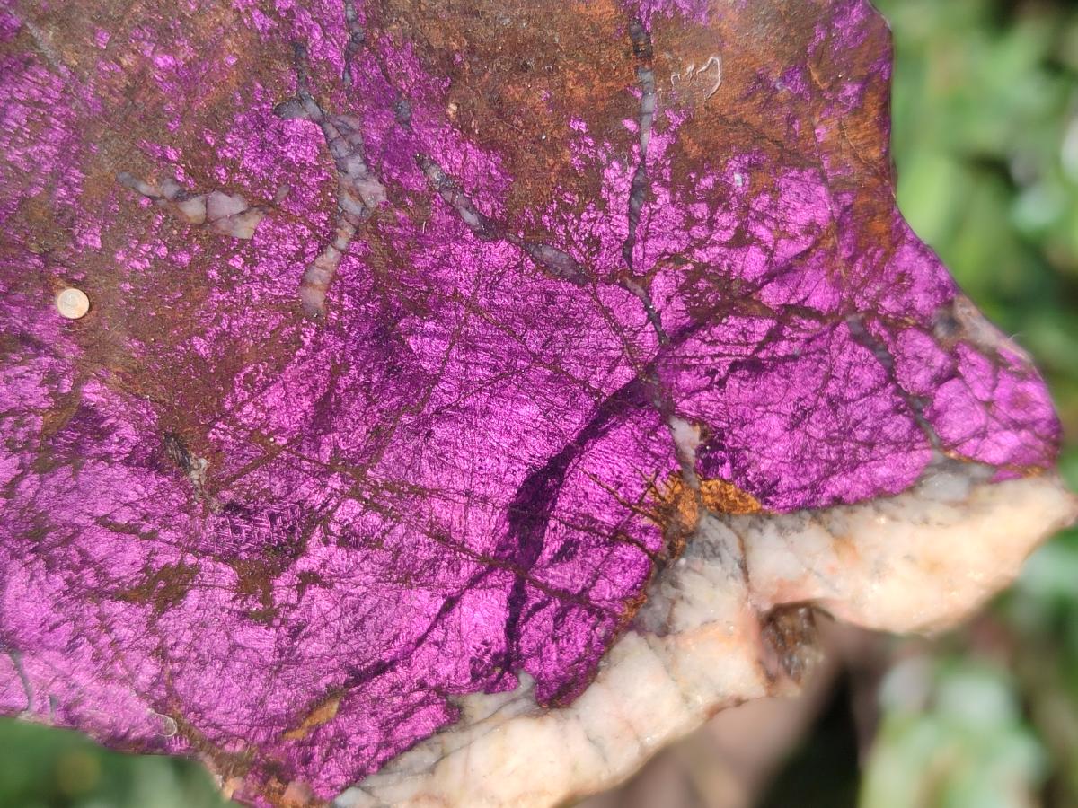Polished One Side Metallic Purpurite Specimens x 3 From Erongo Namibia - Toprock Gemstones and Minerals 