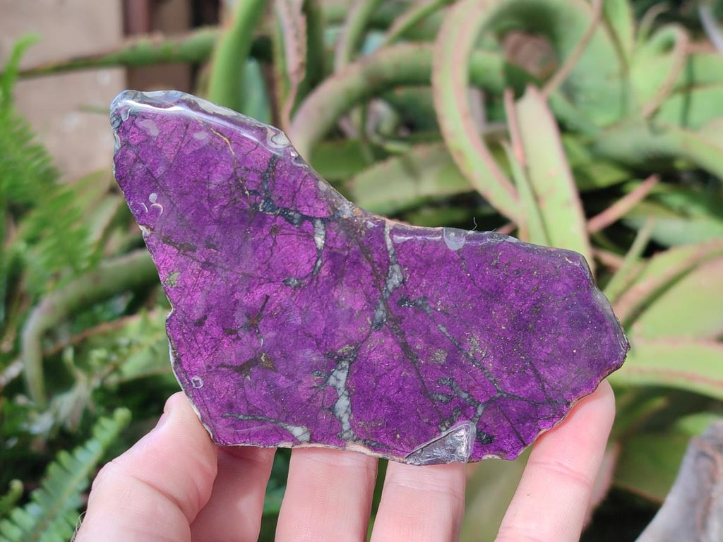 Polished One Side Metallic Purpurite Specimens x 3 From Erongo Namibia - Toprock Gemstones and Minerals 