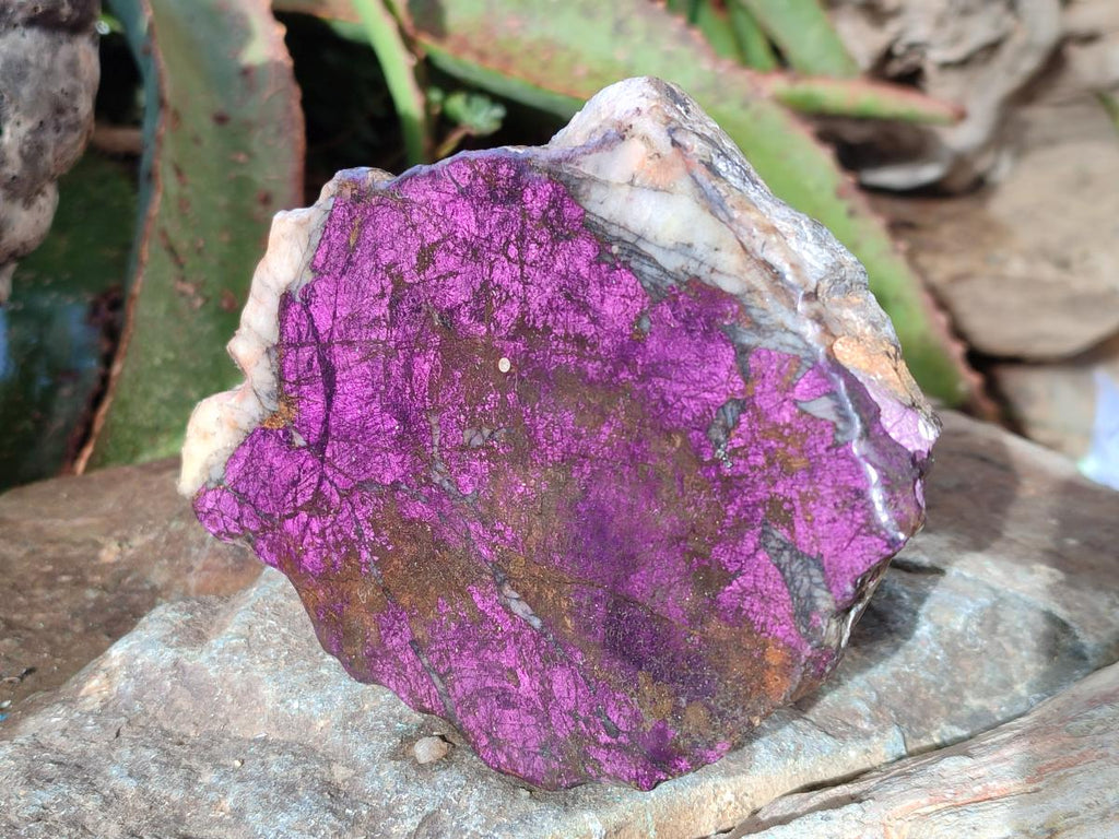 Polished One Side Metallic Purpurite Specimens x 3 From Erongo Namibia - Toprock Gemstones and Minerals 