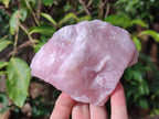 Natural Cobbed Rose Quartz Specimens x 12 From Northern Cape, South Africa - Toprock Gemstones and Minerals 
