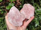 Natural Cobbed Rose Quartz Specimens x 12 From Northern Cape, South Africa - Toprock Gemstones and Minerals 