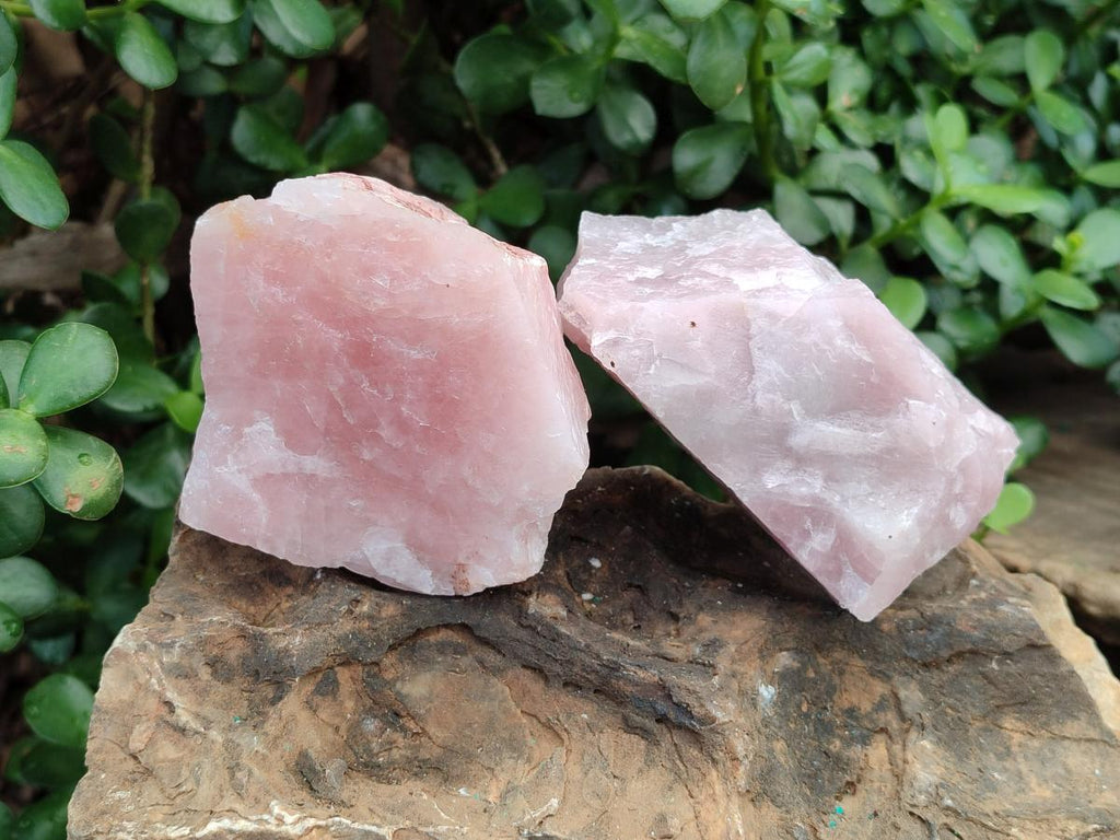 Natural Cobbed Rose Quartz Specimens x 12 From Northern Cape, South Africa - Toprock Gemstones and Minerals 