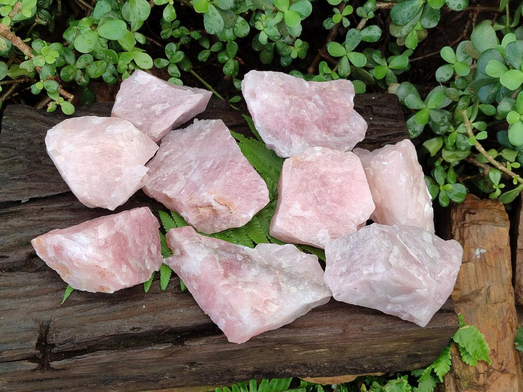 Natural Cobbed Rose Quartz Specimens x 12 From Northern Cape, South Africa - Toprock Gemstones and Minerals 