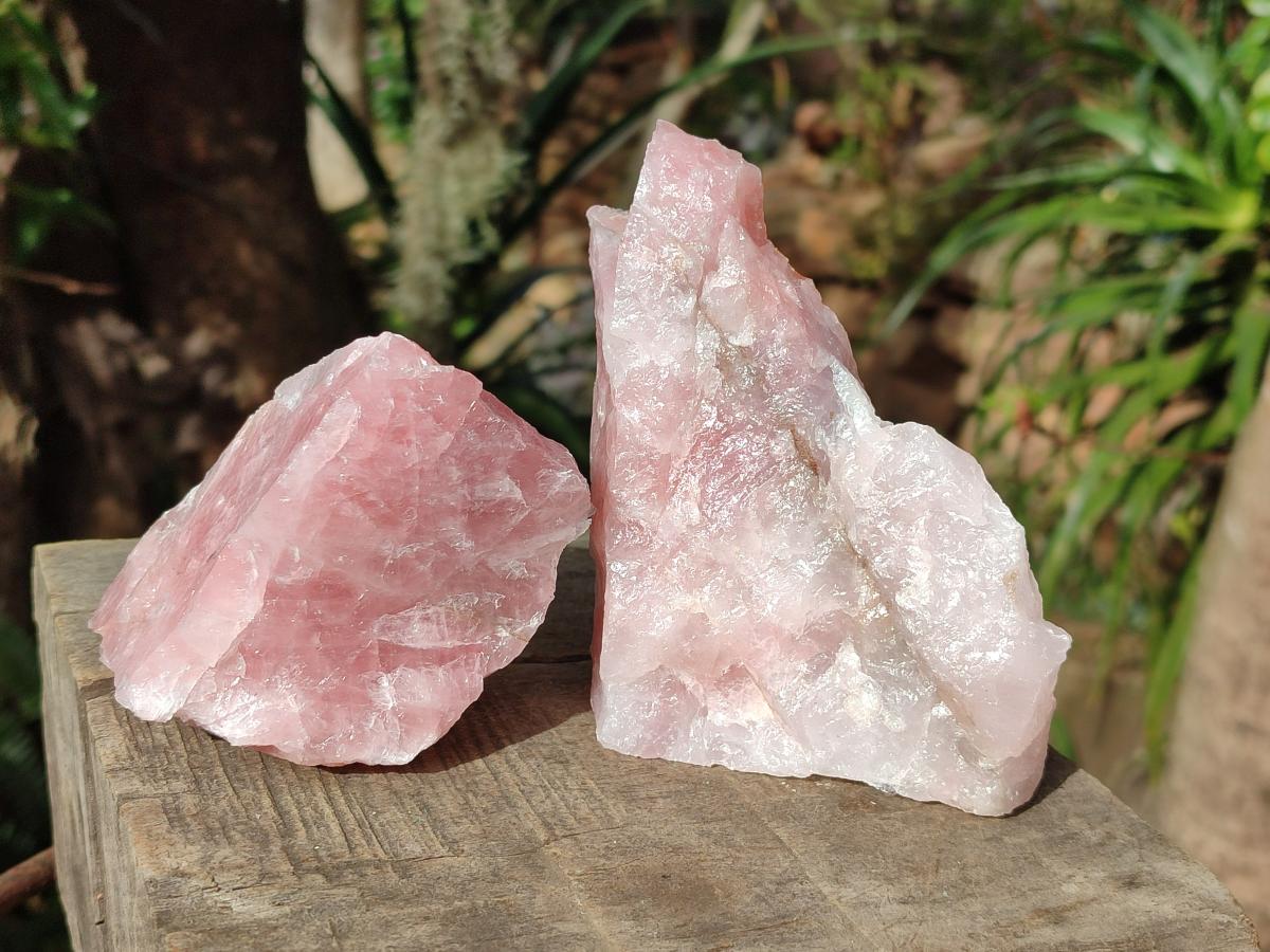 Natural Cobbed Rose Quartz Specimens x 12 From Northern Cape, South Africa - Toprock Gemstones and Minerals 