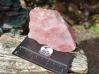 Natural Cobbed Rose Quartz Specimens x 12 From Northern Cape, South Africa - Toprock Gemstones and Minerals 