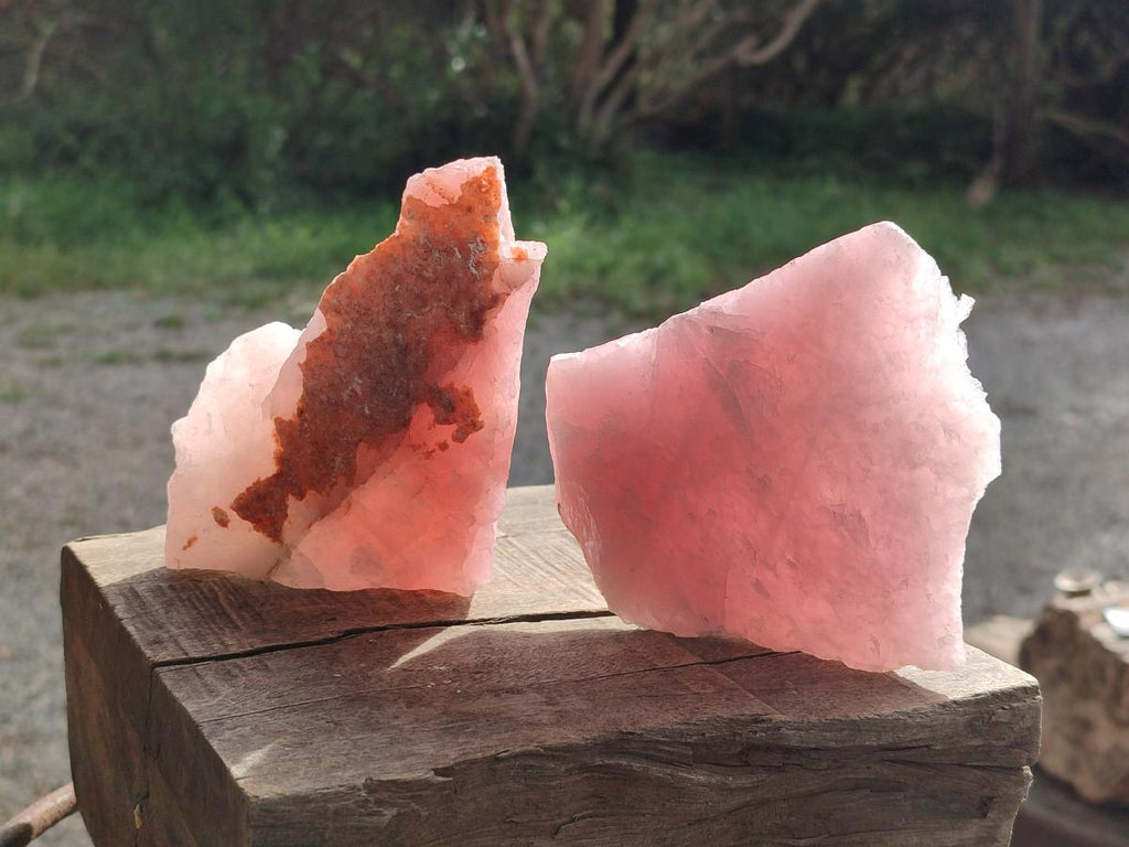 Natural Cobbed Rose Quartz Specimens x 12 From Northern Cape, South Africa - Toprock Gemstones and Minerals 