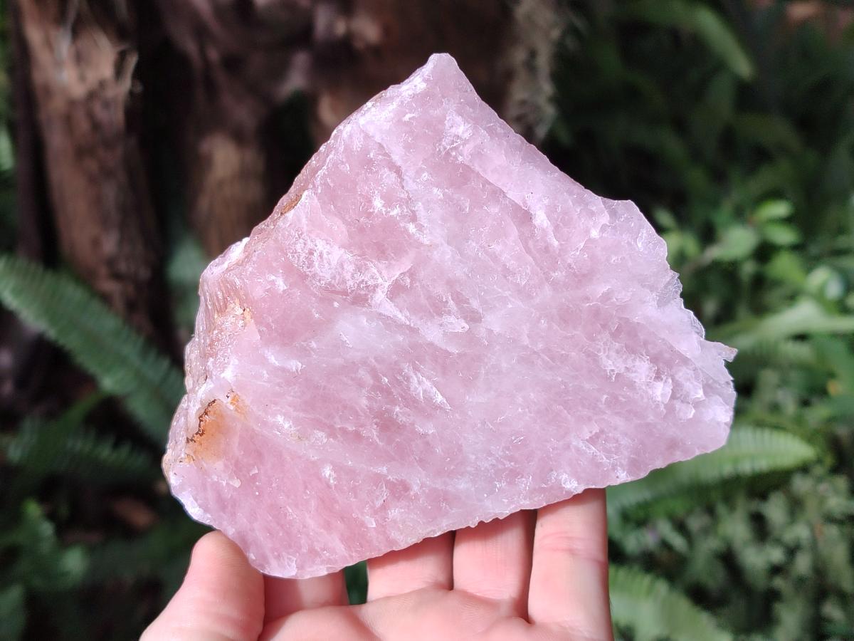 Natural Cobbed Rose Quartz Specimens x 12 From Northern Cape, South Africa - Toprock Gemstones and Minerals 