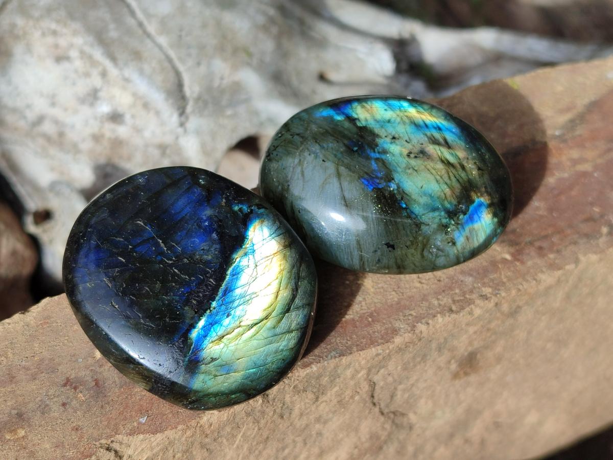 Polished Labradorite Palm Stones x 24 From Madagascar - Toprock Gemstones and Minerals 