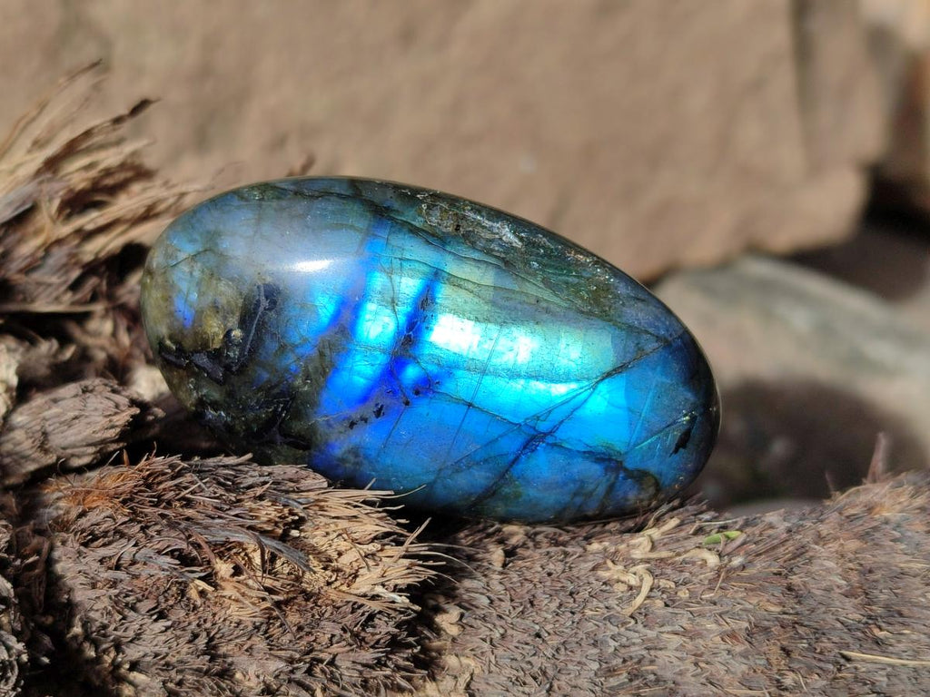 Polished Labradorite Palm Stones x 24 From Madagascar - Toprock Gemstones and Minerals 