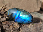 Polished Labradorite Palm Stones x 24 From Madagascar - Toprock Gemstones and Minerals 