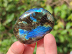 Polished Labradorite Palm Stones x 24 From Madagascar - Toprock Gemstones and Minerals 