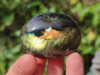 Polished Labradorite Palm Stones x 24 From Madagascar - Toprock Gemstones and Minerals 