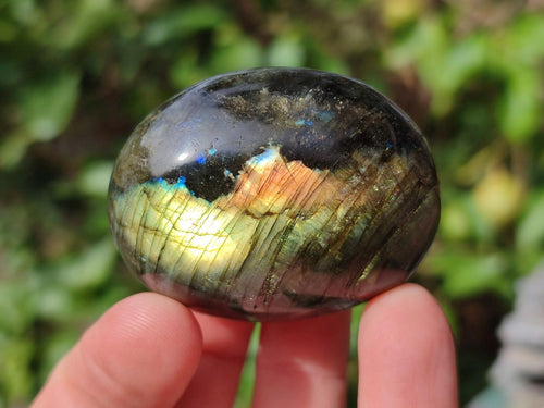 Polished Labradorite Palm Stones x 24 From Madagascar - Toprock Gemstones and Minerals 