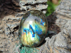Polished Labradorite Palm Stones x 24 From Madagascar - Toprock Gemstones and Minerals 