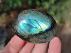 Polished Labradorite Palm Stones x 24 From Madagascar - Toprock Gemstones and Minerals 